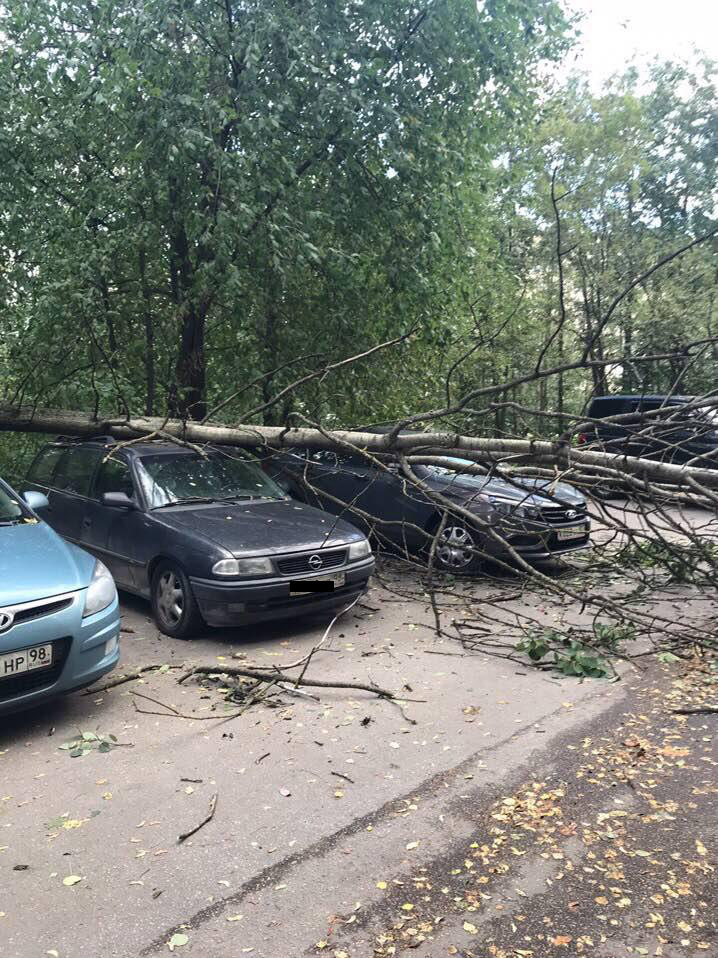 ул. Подвойского, 28